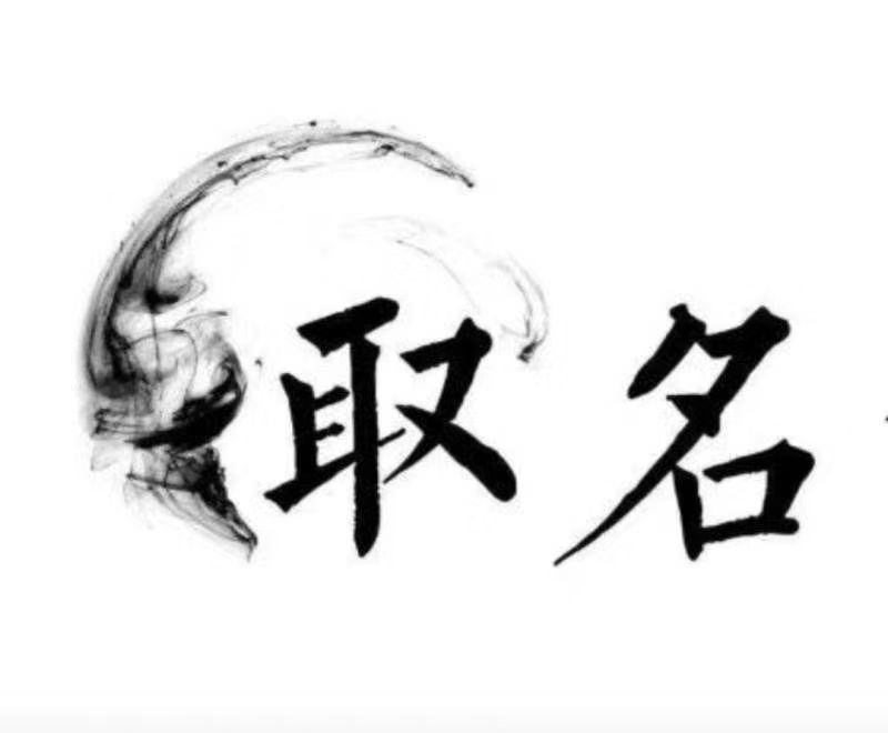  单县宝宝取名 大师一对一人工起名