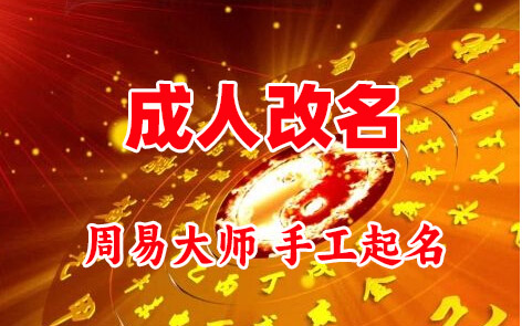 单县成人改名-找大师一对一改名先分析后改名